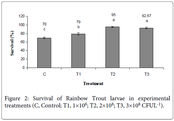 fisheries-livestock-production-rainbow-trout-larvae