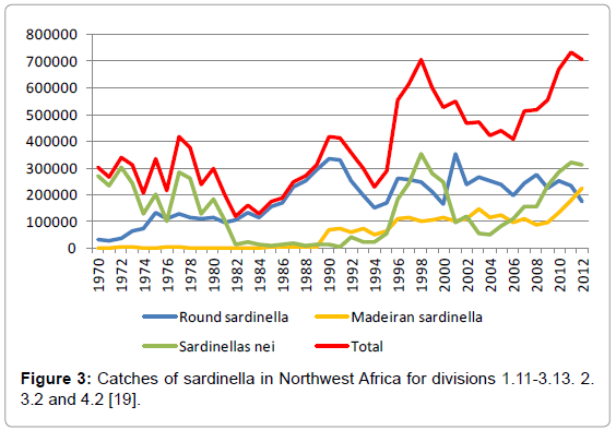 fisheries-livestock-production-sardinella-africa-divisions