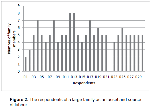 fisheries-livestock-production-the-respondents-family