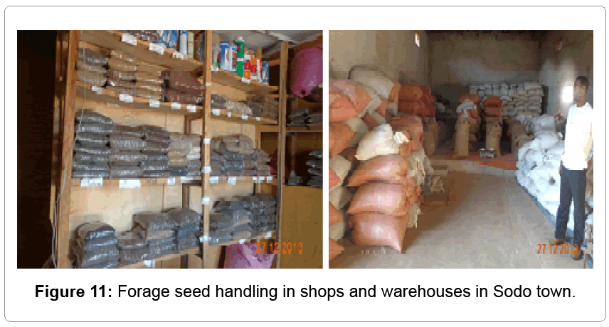 fisheries-livestock-production-warehouses