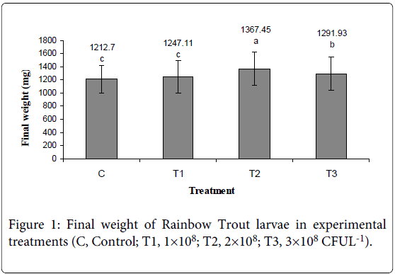 fisheries-livestock-production-weight-rainbow-trout