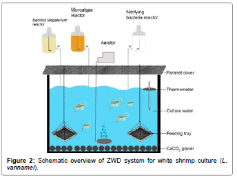 fisheries-livestock-production-white-white