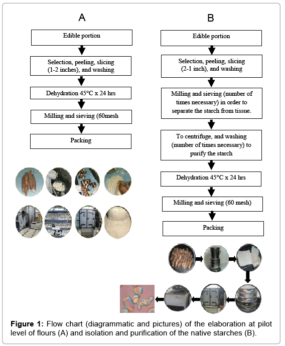 food-process-flow-chart