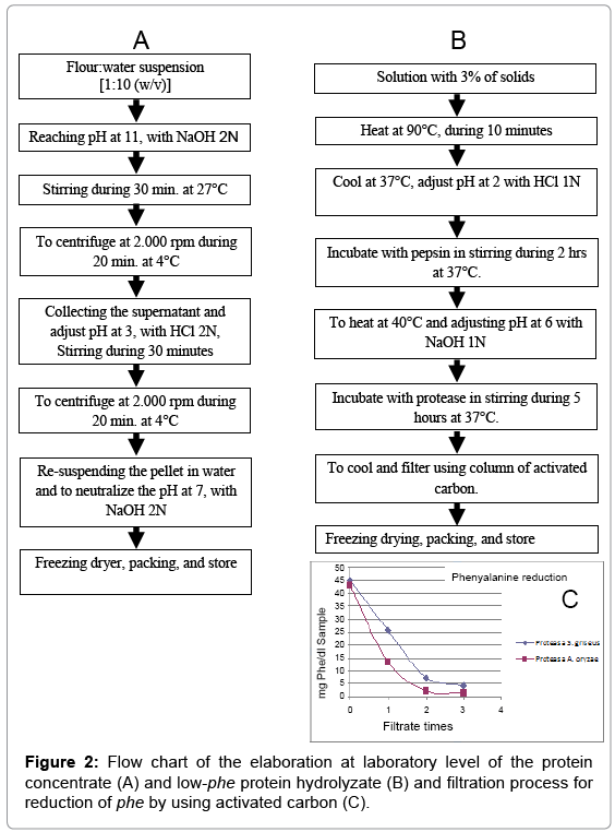 food-process-flow-chart