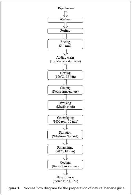 food-processing-technology-Process-flow