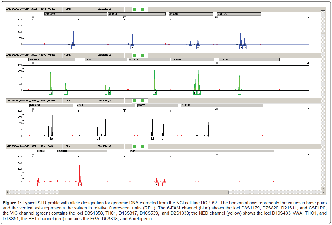 Forensic Research Str Profile