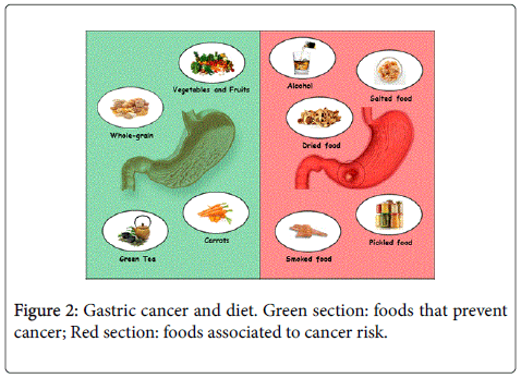 gastrointestinal-digestive-Green-section