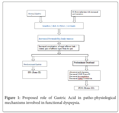 gastrointestinal-digestive-Proposed-role-Gastric