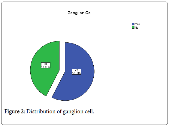 gastrointestinal-digestive-system-ganglion-cell