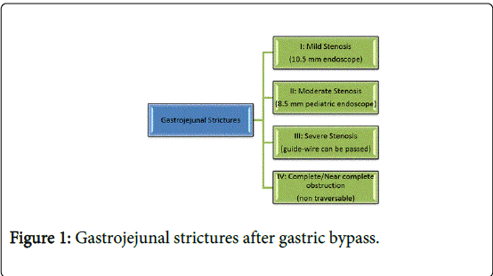 gastrointestinal-digestive-system-gastric-bypass