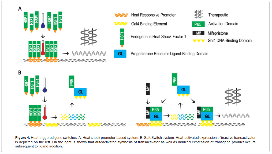 genetic-syndromes-gene-therapy-autoactivated-synthesis