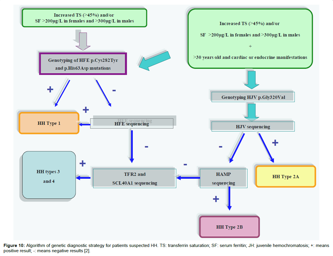 Genetic-syndromes-gene-therapy-transferrin-saturation