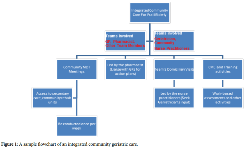 Practical Approaches to Managing Frail, Older People in Community ...