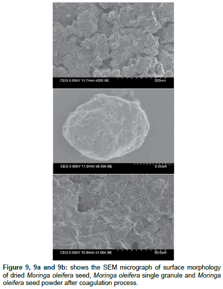 industrial-chemistry-surface-morphology