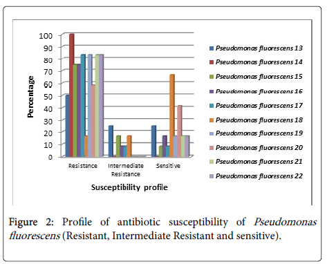 infectious-diseases-therapy-Profile-antibiotic-susceptibility