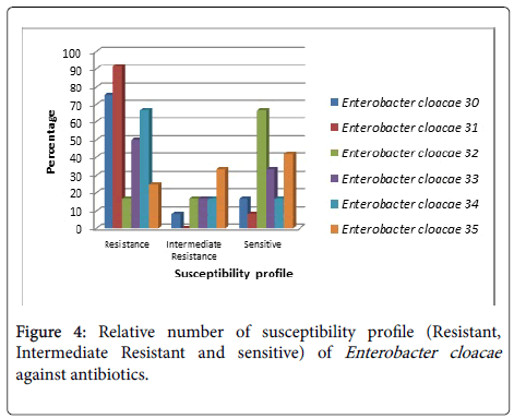 infectious-diseases-therapy-Relative-number-susceptibility