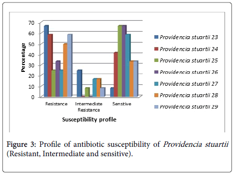 infectious-diseases-therapy-Resistant-Intermediate-sensitive