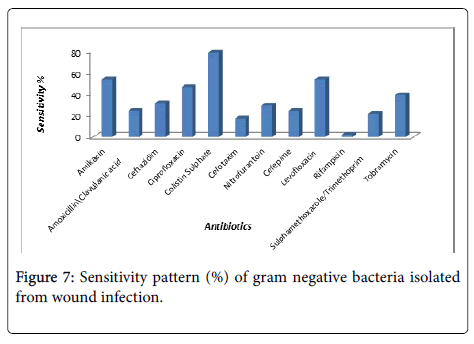 infectious-diseases-therapy-Sensitivity-pattern