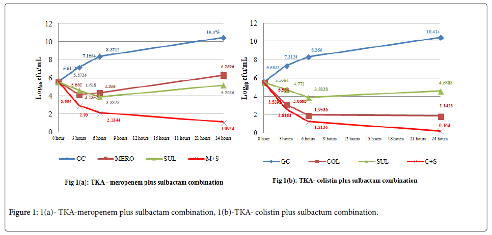 infectious-diseases-therapy-TKA-meropenem-plus