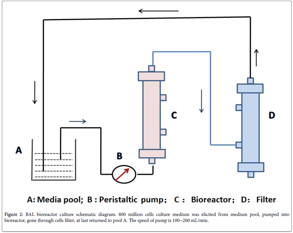 infectious-diseases-therapy-bioreactor