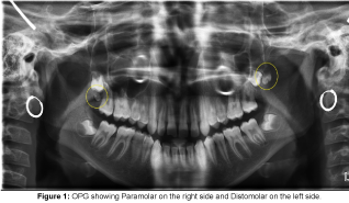 interdisciplinary-medicine-dental-right-side