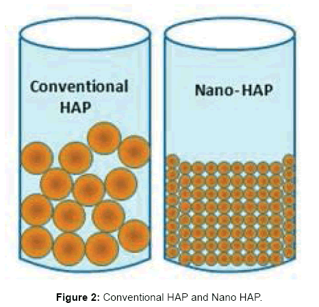 interdisciplinary-medicine-dental-science-Conventional-Nano-HAP