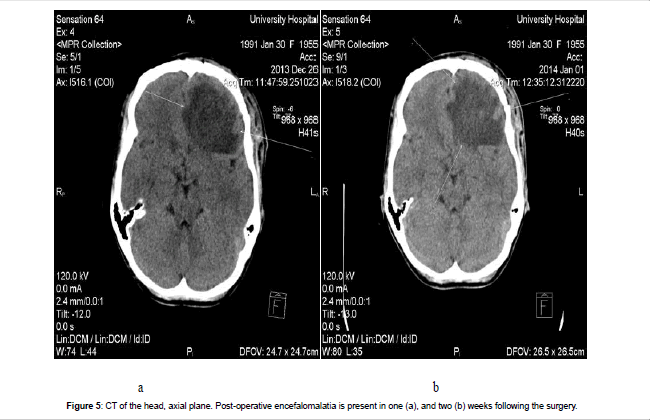 interdisciplinary-medicine-head-axial-plane