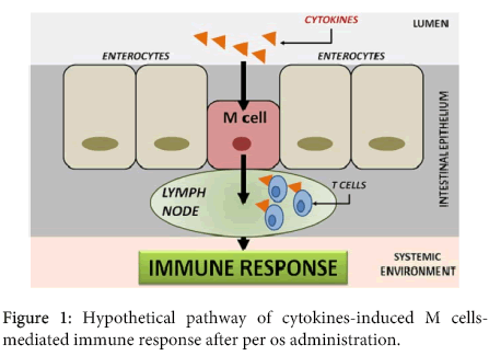 interdisciplinary-microinflammation-Hypothetical-pathway-cytokines
