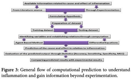 interdisciplinary-microinflammation-flow-computational-prediction