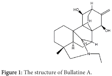 interdisciplinary-microinflammation-structure-Bullatine-A