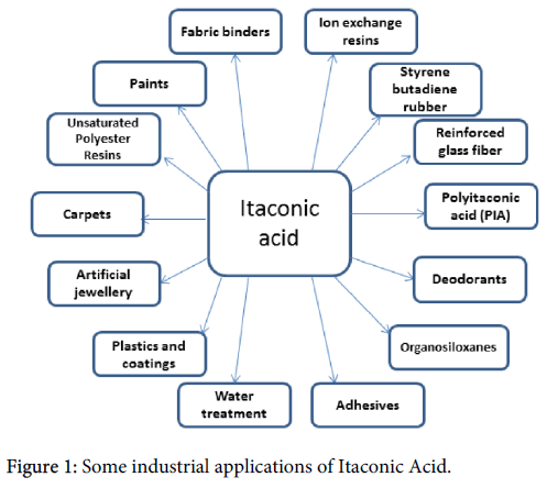 Fermentative Itaconic Acid Production