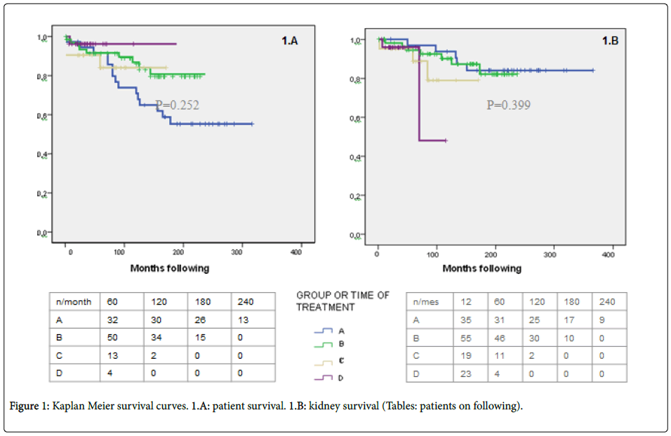 Refractory lupus nephritis a survey