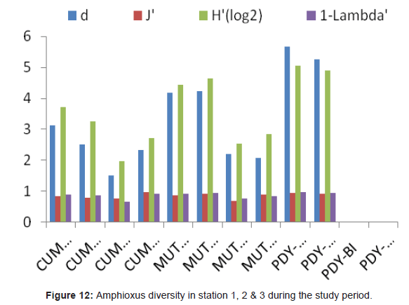 marine-science-research-Amphioxus-diversity-station