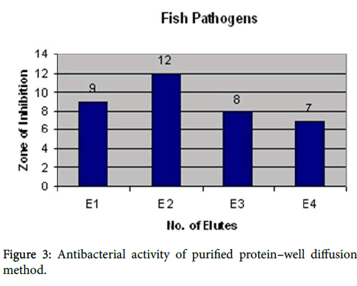 marine-science-research-Antibacterial-activity
