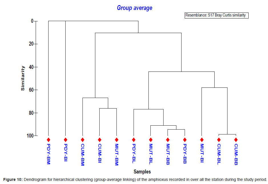 marine-science-research-Dendrogram-hierarchical-clustering