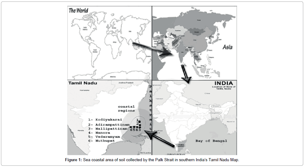 marine-science-research-coastal-area