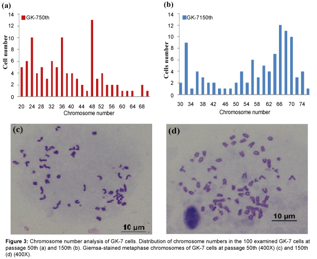 marine-science-research-development-Chromosome