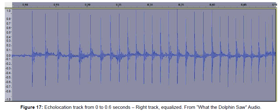 marine-science-research-development-Echolocation-track