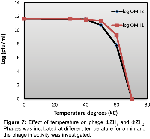 marine-science-research-development-Effect-temperature