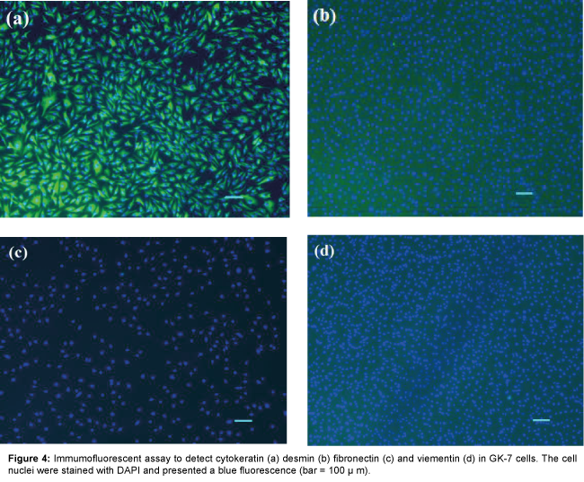 marine-science-research-development-Immumofluorescent