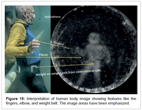 marine-science-research-development-Interpretation-human-body