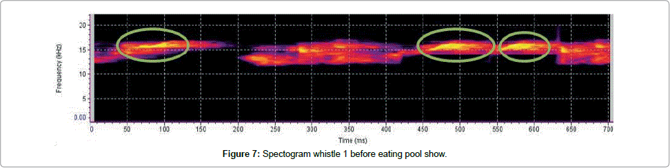 marine-science-research-development-Spectogram-whistle