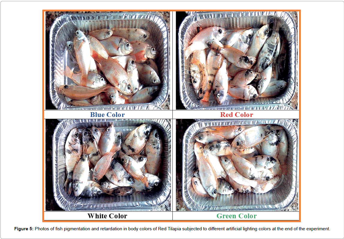 marine-science-research-development-body-colors