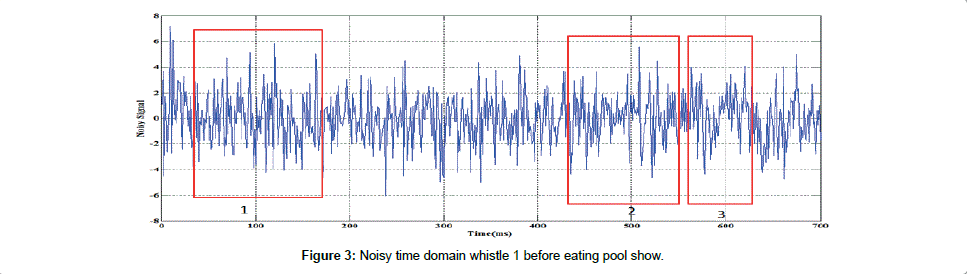 marine-science-research-development-domain-whistle