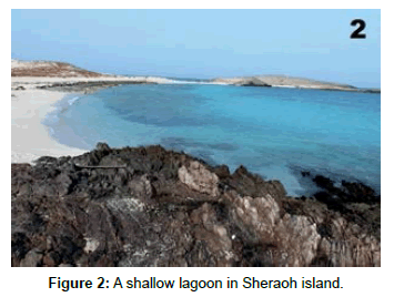 marine-science-research-development-island