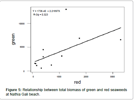 marine-science-research-development-red-seaweeds