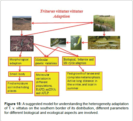 marine-science-research-development-southern-border