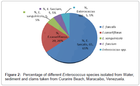 marine-science-research-development-species-isolated