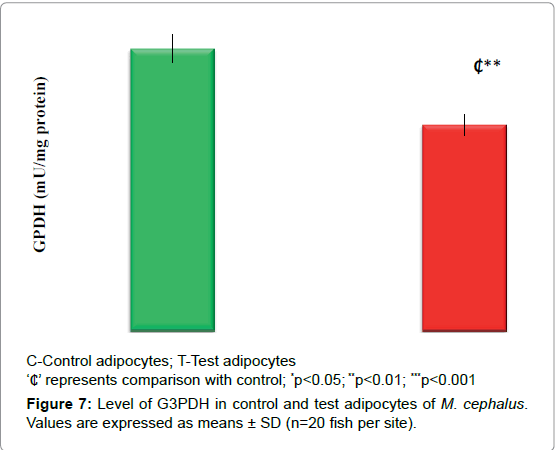 marine-science-research-development-test-adipocytes