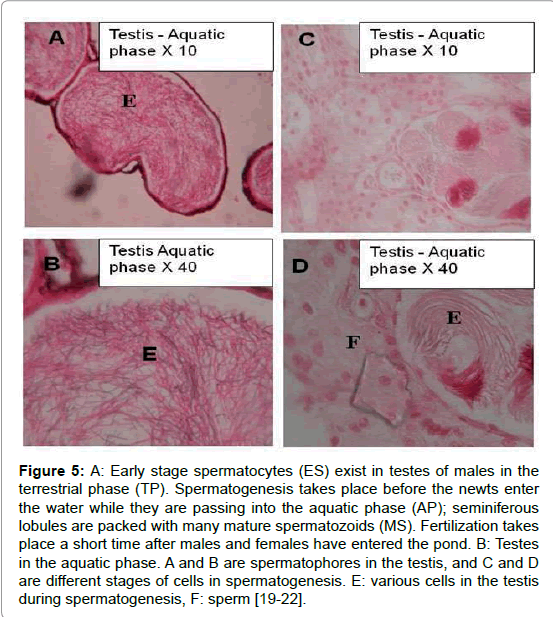 marine-science-research-development-various-cells